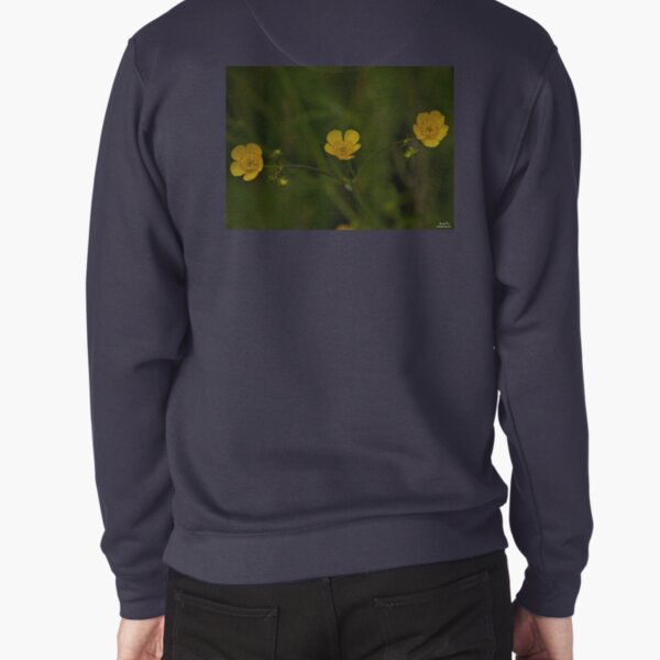 Three Meadow Buttercups - Burntollet Woods, County Derry Pullover Sweatshirt