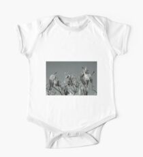 Milkweed HDR One Piece - Short Sleeve