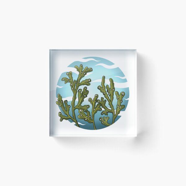 Item preview, Ocean monster designed and sold by PrettyElk.