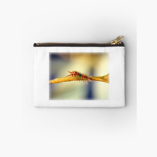 Item preview, Painted cup moth (Caterpiller)- Doratifera oxleyi designed and sold by naturek.