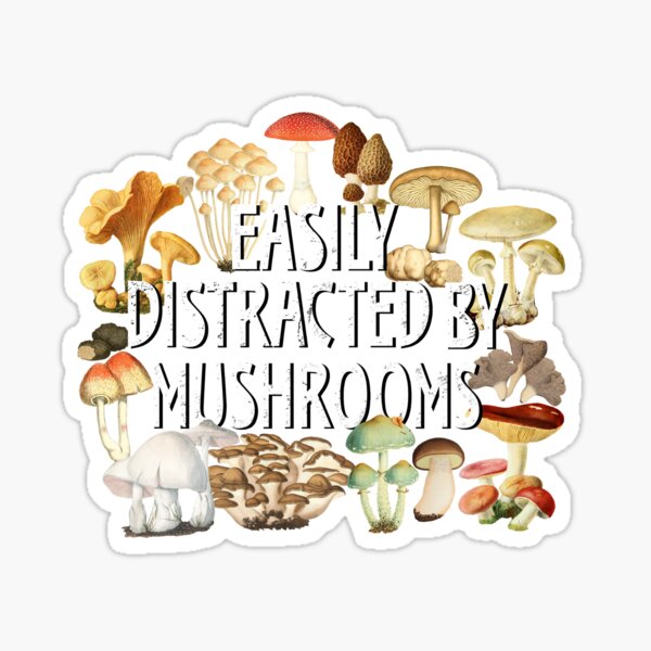 Easily Distracted By Mushrooms Funny Mushroom Lover Botanical Fungi Plants Morel Psychedelic Mushroom Forager Mushroom Gift Sticker