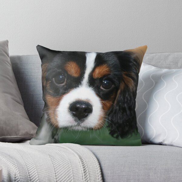 Cavalier King Charles Puppy "Abby" Throw Pillow