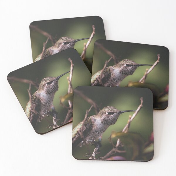 Item preview, Hummingbird upclose designed and sold by Sandi Walmsley.