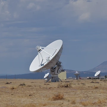 Artwork thumbnail, Large Array by Greg Birkett