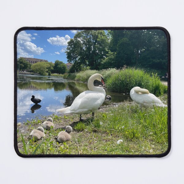 Item preview, Swan Family • Christianshavn • Two • 2022 designed and sold by Mortinus.