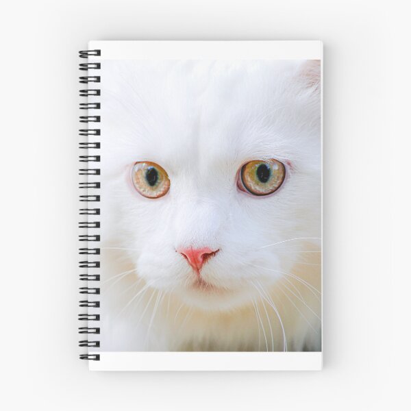 Item preview, White cat designed and sold by Sandi Walmsley.