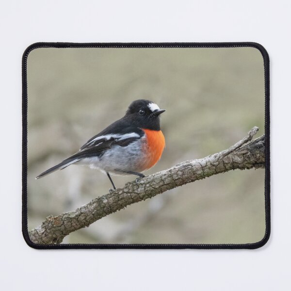 Item preview, Scarlet Robin designed and sold by David  Hibberd.
