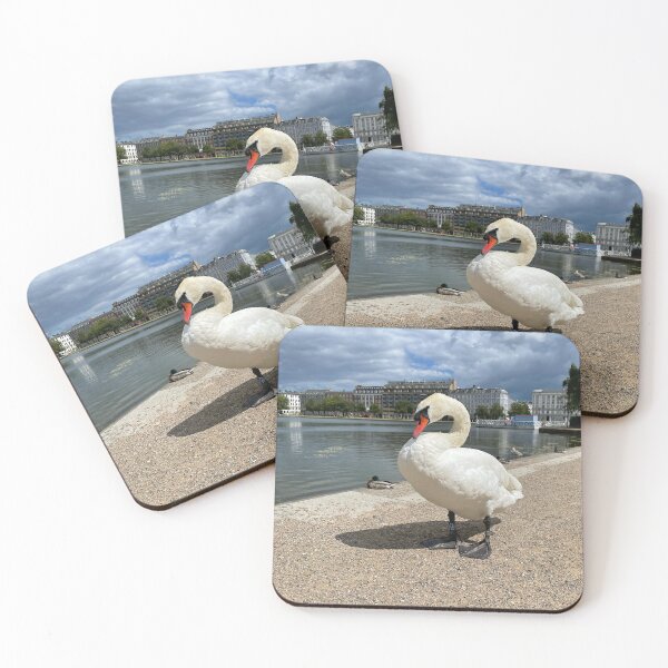 Item preview, Swan • The Lakes, Copenhagen • Clouds designed and sold by Mortinus.