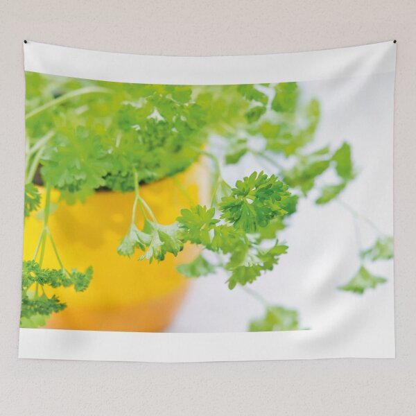 Item preview, Parsley designed and sold by Vac1.