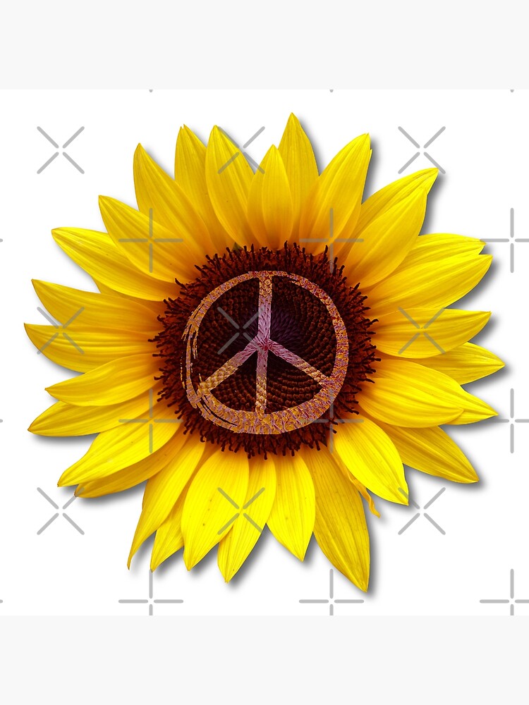 Girasol de paz interior Ucrania flor ... Girasol de paz interior Ucrania flor ...