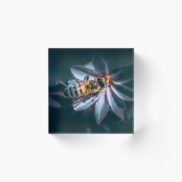 Item preview, Bee on flower  designed and sold by Sandi Walmsley.