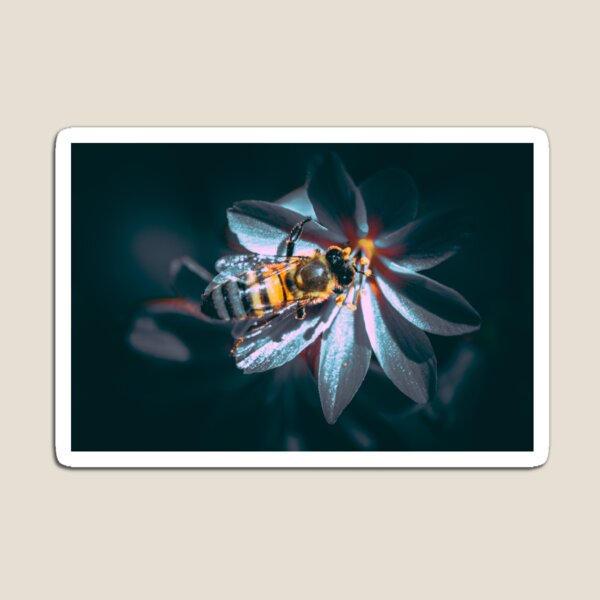 Item preview, Bee on flower  designed and sold by Sandi Walmsley.