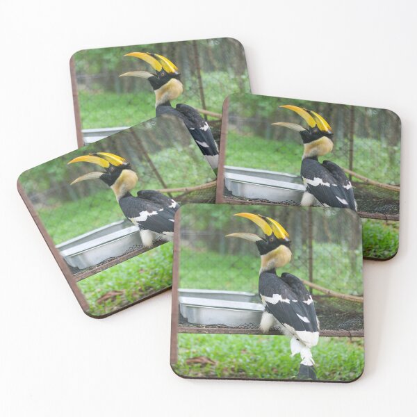 Item preview, Hornbills in a zoo in Thailand designed and sold by March Rider.