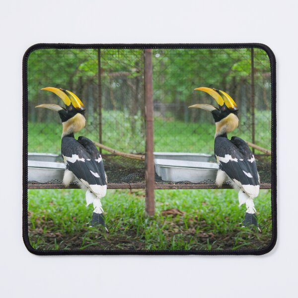 Item preview, Hornbills in a zoo in Thailand designed and sold by March Rider.