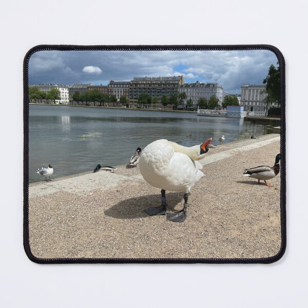 Item preview, Swan Loving • The Lakes, Copenhagen • 2022 designed and sold by Mortinus.
