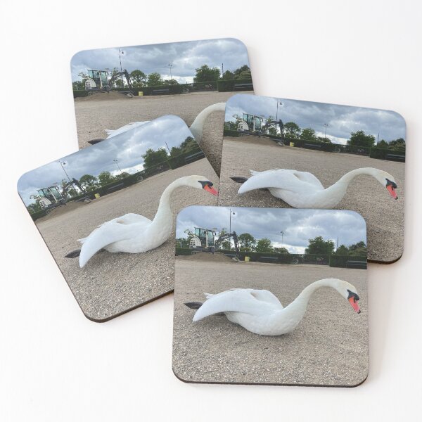 Item preview, Swan Stretch • The Lakes, Copenhagen • 2022 designed and sold by Mortinus.