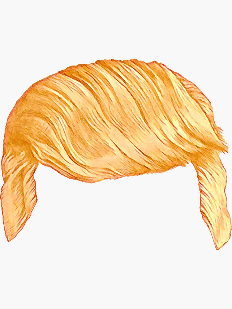 Trump Hair