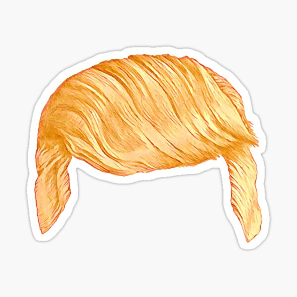 Trump Hair