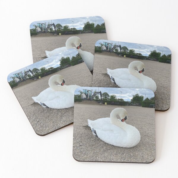 Item preview, Shy Swan • The Lakes, Copenhagen • 2022 designed and sold by Mortinus.