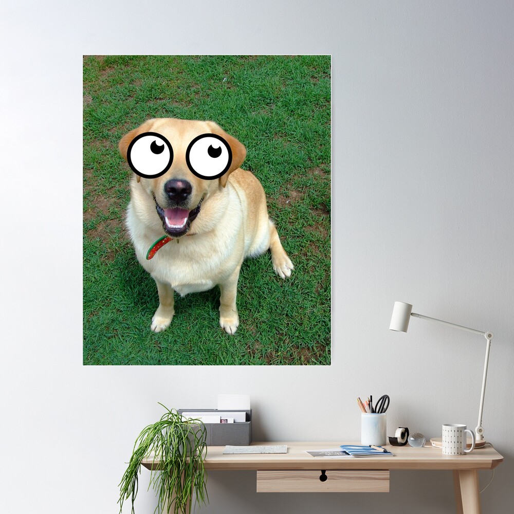 Googly Eye Dog Stickers – Stick by Me Stickers