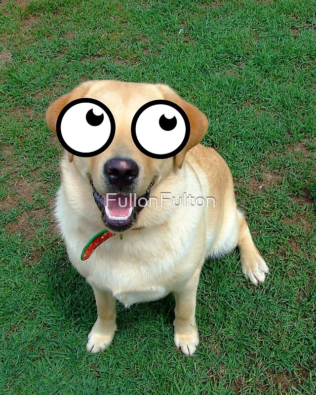 "Googly Eyed Dog" by FullonFulton Redbubble