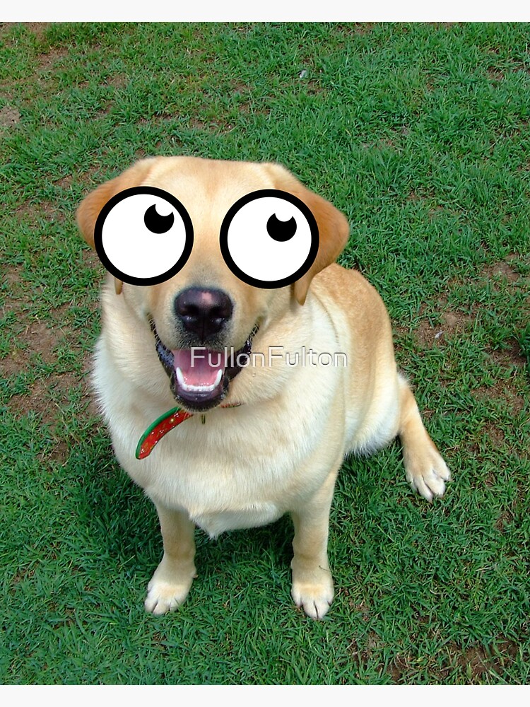 Googly Eye Dog Stickers – Stick by Me Stickers