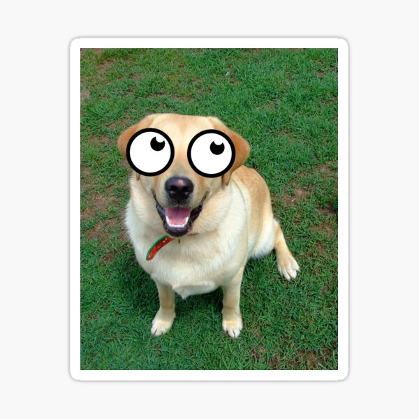 Googly Eye Dog Stickers – Stick by Me Stickers