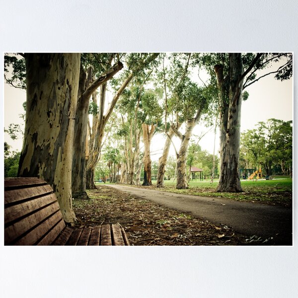 Aperçu de l'œuvre Empty Park, empty bench créée et vendue par autumnleaf.