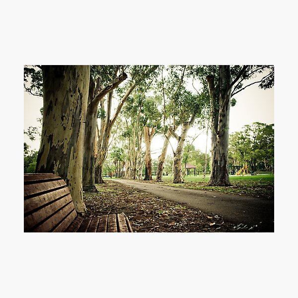 Item preview, Empty Park, empty bench designed and sold by autumnleaf.