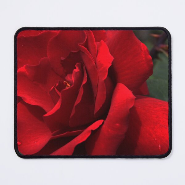 Item preview, Roses in my garden - last summer designed and sold by Marlies Odehnal.