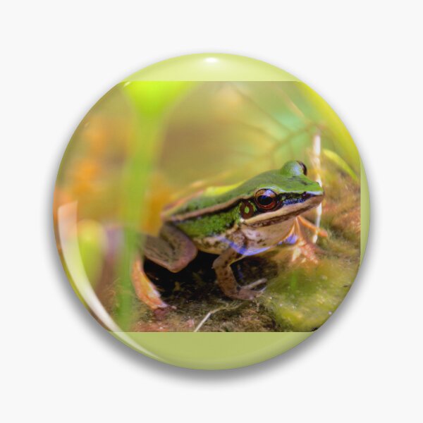 Item preview, Frog designed and sold by indiafrankk.
