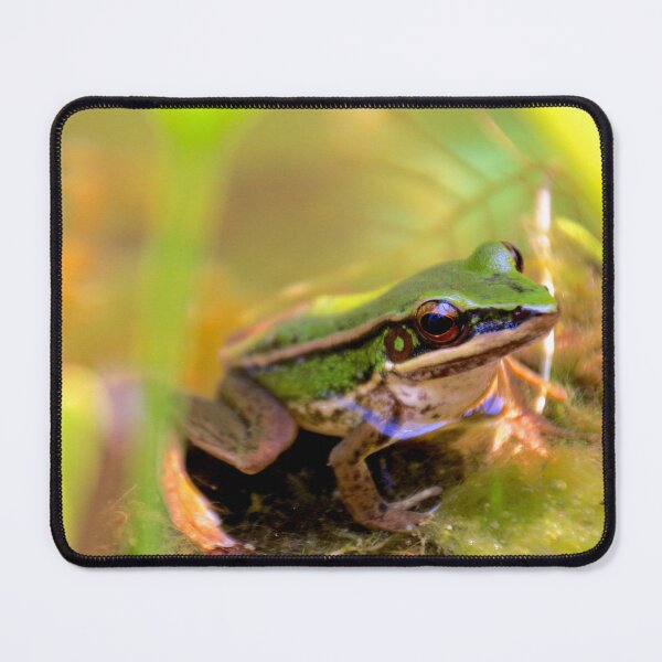 Item preview, Frog designed and sold by indiafrankk.