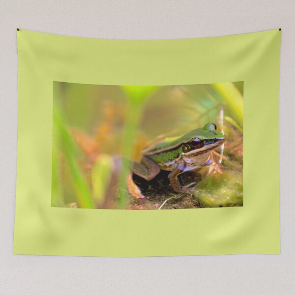 Item preview, Frog designed and sold by indiafrankk.