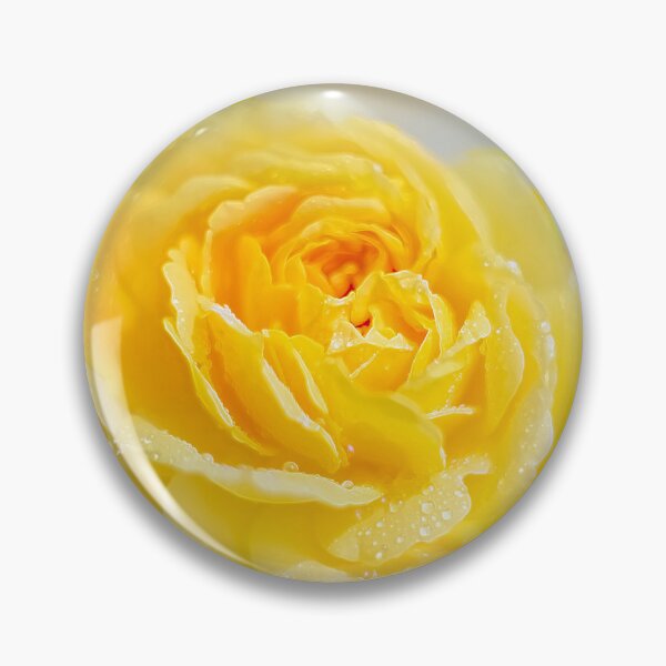 Item preview, Yellow Rose Bokeh designed and sold by Alisonchambers2.
