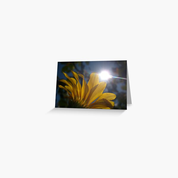 SunKissed Greeting Card