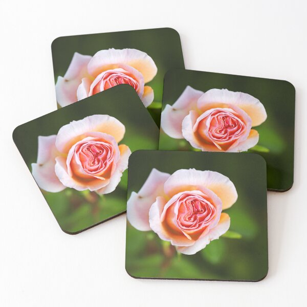 Item preview, Abraham Darby Rose Lush Flower designed and sold by Joy Watson - Natural Light Photography .