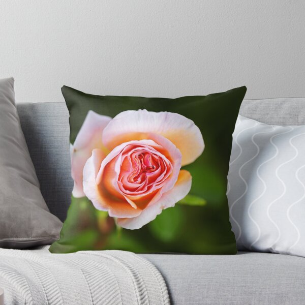 Item preview, Abraham Darby Rose Lush Flower designed and sold by Joy Watson - Natural Light Photography .