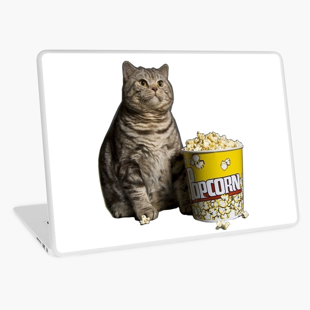 Fat cats popcorn clearance coupon