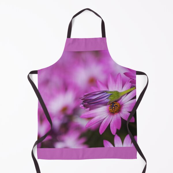 Item preview, Cape Daisies Bud Lays Over Pink designed and sold by Joy Watson - Natural Light Photography .