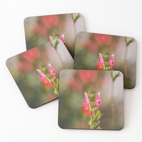Item preview, Sage Flower In Buds  designed and sold by Joy Watson - Natural Light Photography .