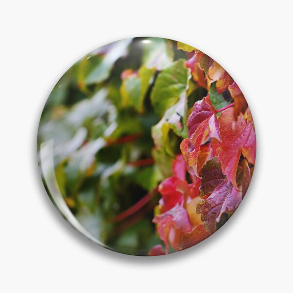 Item preview, Red Boston Ivy With Green Leaves designed and sold by Joy Watson - Natural Light Photography .