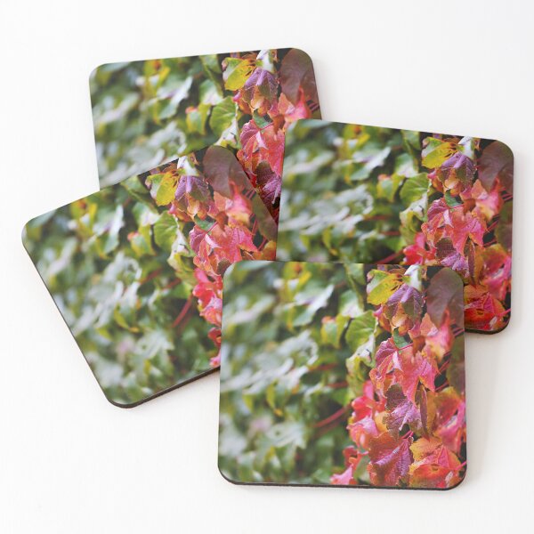 Item preview, Red Boston Ivy With Green Leaves designed and sold by Joy Watson - Natural Light Photography .