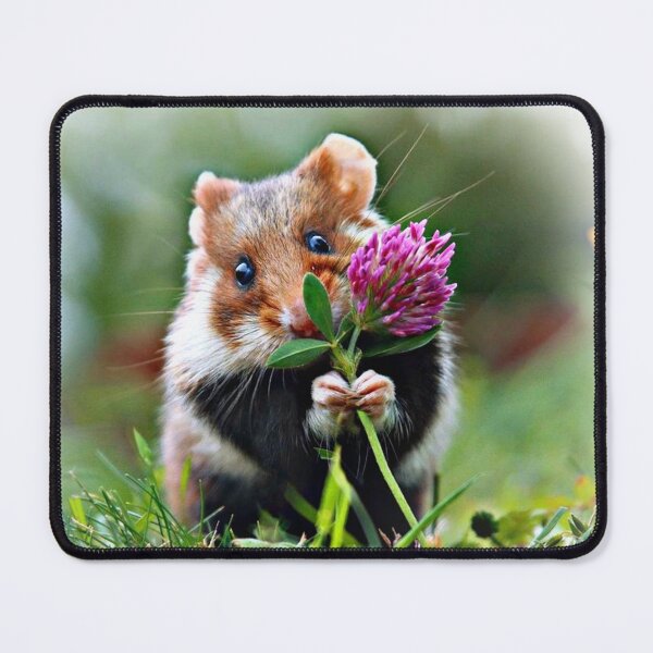 Item preview, Adorable Rat  designed and sold by Epic Design Trix.