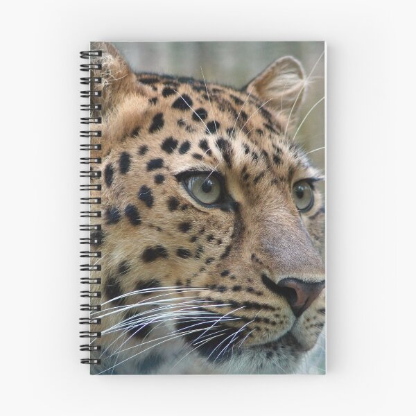 Item preview, Leopard bed linen designed and sold by RodVentura.