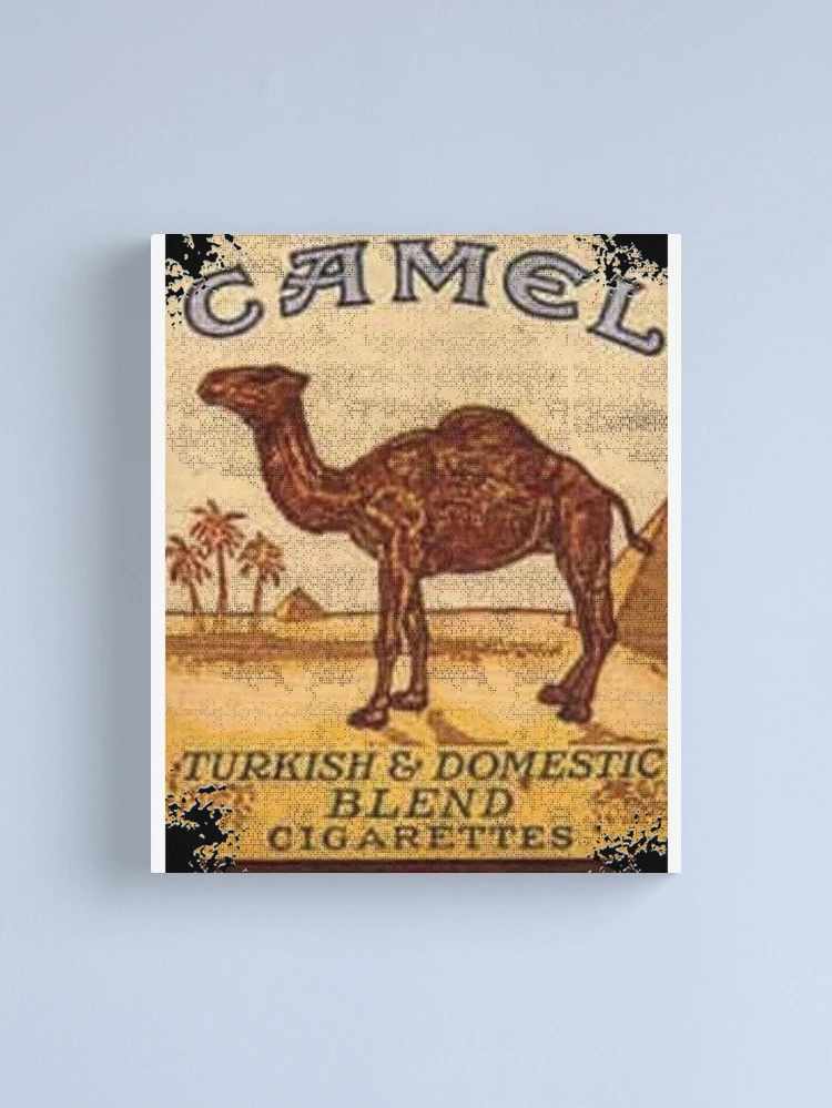 Camel Cigarettes 