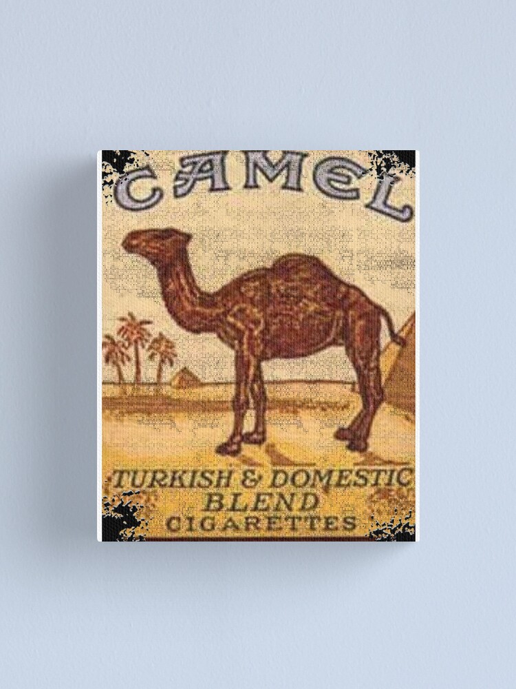 Camel Cigarettes Canvas Print