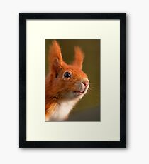 Hello! Framed Print
