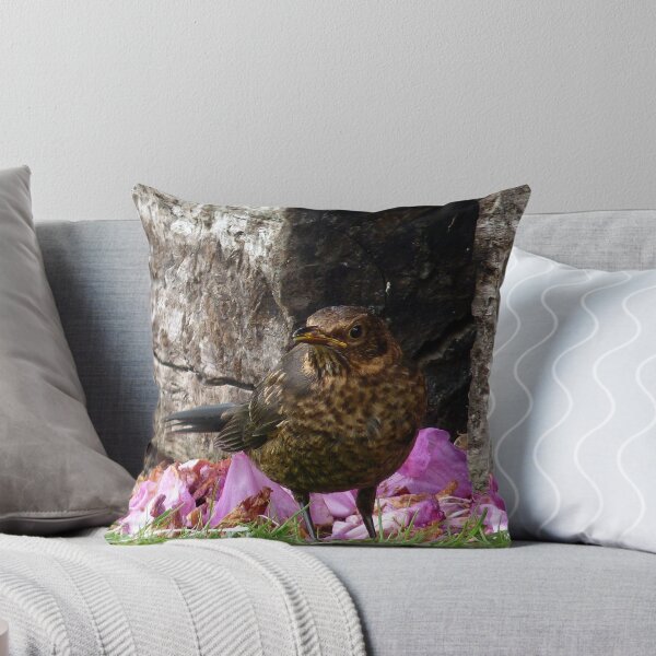 Item preview, Anticipation! Waiting For Food! - Baby Blackbird - NZ designed and sold by AndreaEL.