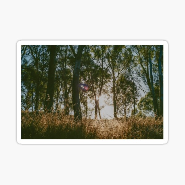 Item preview, Early Morning Sun | Melbourne | Film Photography designed and sold by LG-Film-Photos.