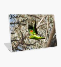 King Parrot Free as a Bird Laptop Skin